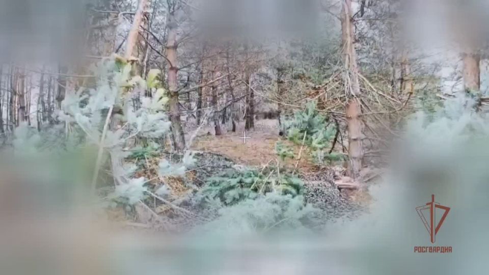 �� ����������� ����������� ������� ��� �������� ��������� ������� ���������� ���������� ��������� � ������ ���