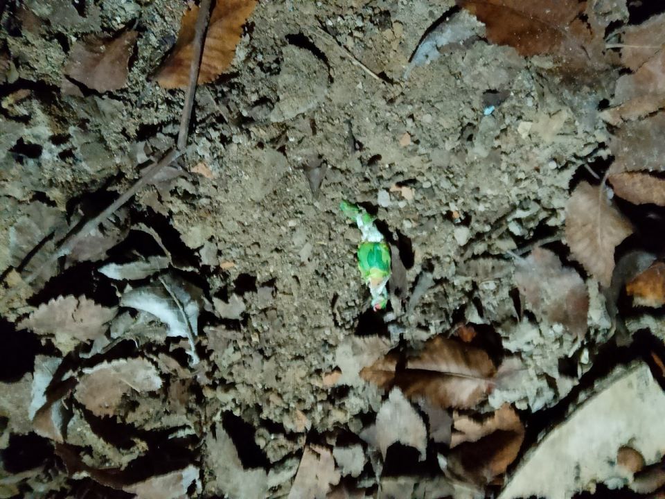 ������ ������������ �������� ������� ����������� ����� ����������