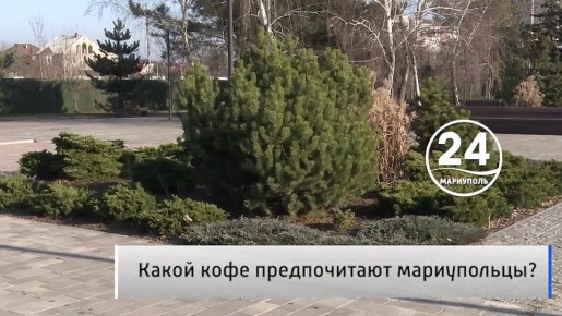 �������� ������ 17.01. ����� ��� ��������? ����� �� ����������� ���� � ����� ������������? �� ���������� ���� �������� ������ ����� � ���� �� ������� ������, � ���� ������� �������� ���������� �����������