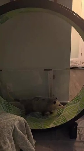 �������� ���� � ����� ����� ���������� �������!