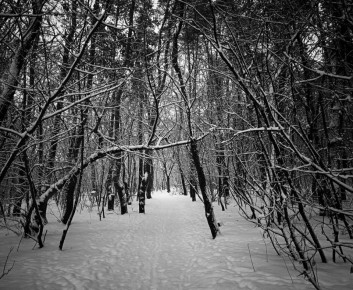 ������� ��� ������������� � ������, ���������� � ������� �����