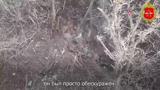 ����� ������������� ������� �� ������� ������ ����������� ���������� �� ������������ ������ �������� � ���