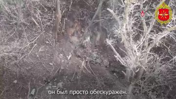 ���������� ��� ������������