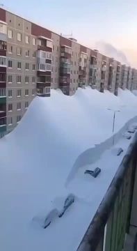 �� �������� ������ �� 5 �����