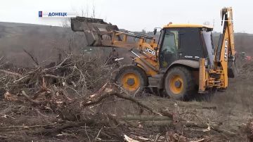 � ���� ���� � ��� ����������� ���������� 25 ���������� ����� ���