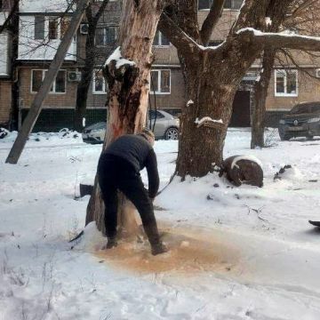 ���� ������: � ������������ ������ ������������ ������ �� ���������� ��������� ������� ����������