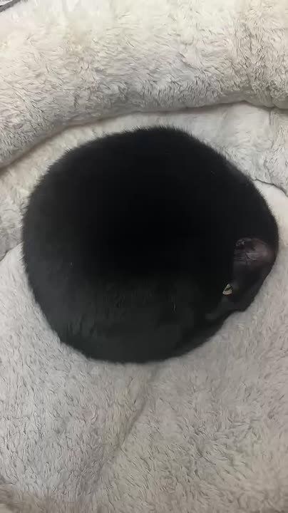 �������� ������� ��������� ����