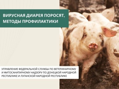 �������� ������ ������� (���) � ��� �� ������ �����������, � ������ ���������� ����, ��������� �� �������������� �������� �� ������� ������������ �� �����������, ������� �������� ������, ��������������� ������� �������