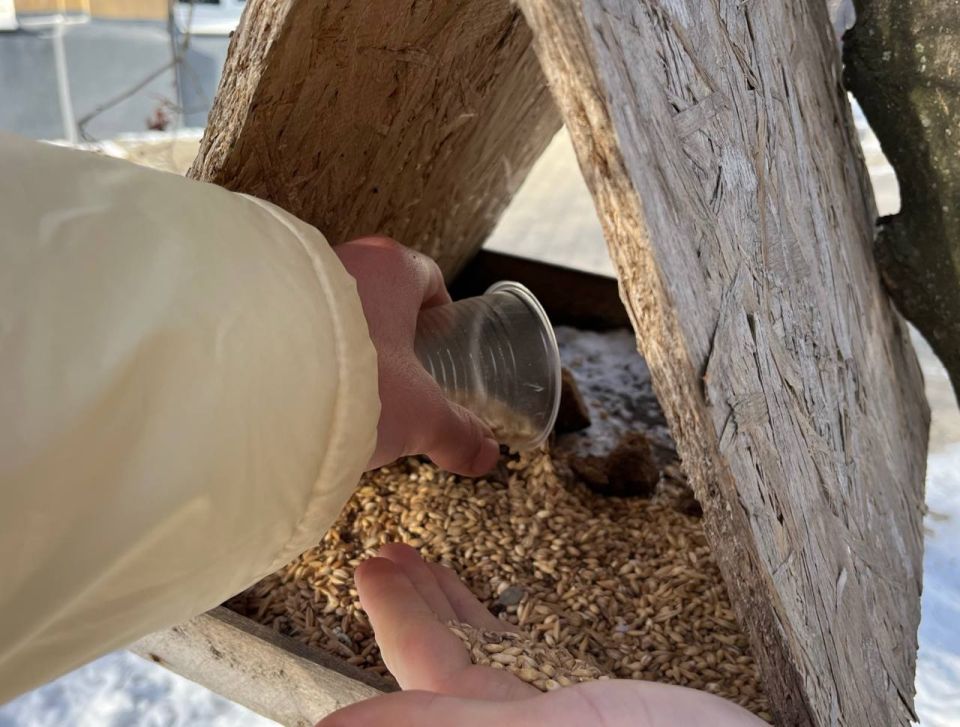 ����� �������� ���� � ��������� �������� �����!� ��������� ������ ��� ������� ����� �������� ��������� ���������� ������ ��������� �� � 4, ������� �� 9-� ������ ������� ������ � ��������