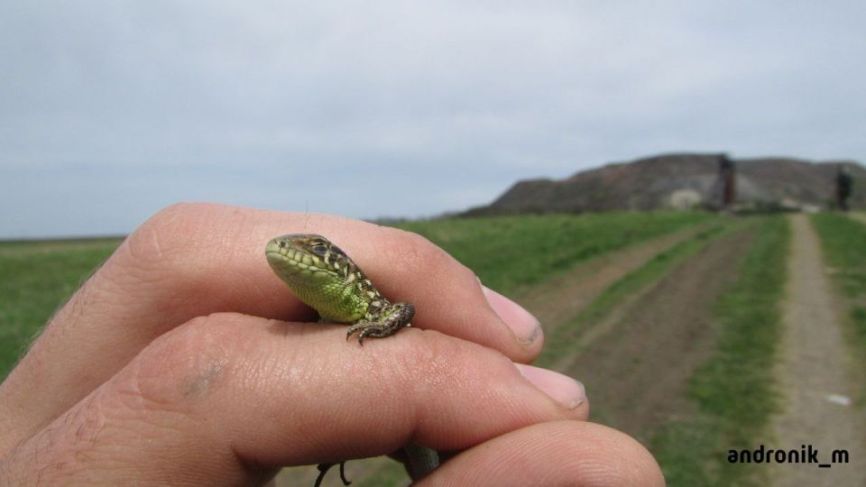 ������ ��������: ������ ��� �� ��������������, ����� 2016� ���, � �����-�� ����� �� ������� ������