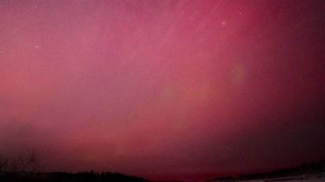 ����������� ������ ���� ��� �������: