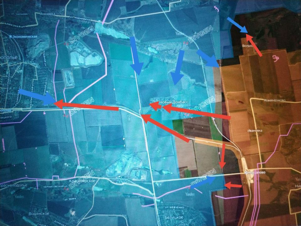 ���� �������: ����������-������������� �����������