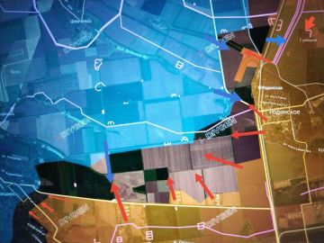 ���� �������: ����������-������������� �����������