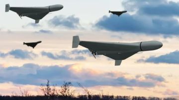 �������� ����� �������� ������ � ������: ����� 45 ������