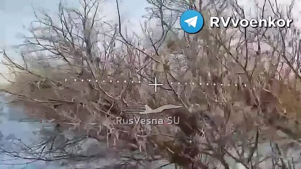 �������� ���������� �������������� ������ � ������� ��� ��� ���������� � � ���������������� �������