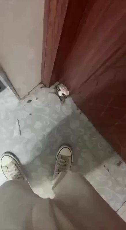 ��������! ������ ���������� ����� ��� �����!