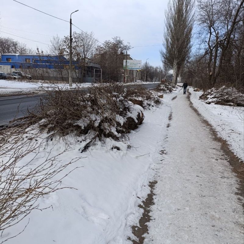 ���� ������: ����������� �������������� ����������� ������� ������������� � ������������ ������ ���������� �������� ������ �� ���������������