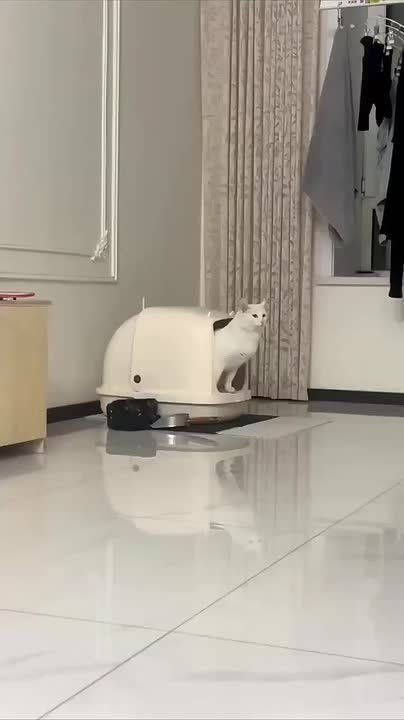 ��������� � ����������� ����������� �������� �������� ���: