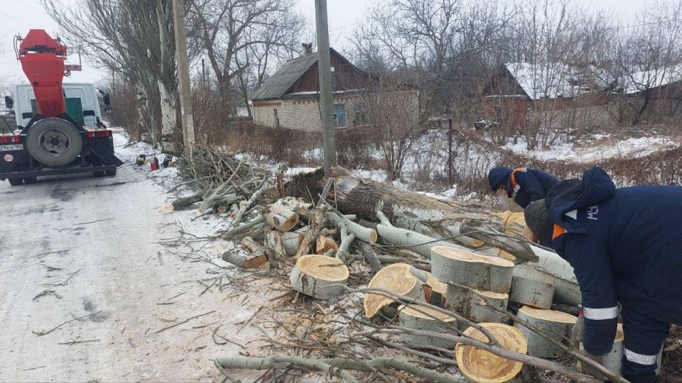 ����� �����: ������������� ��������� ����������� �������л ������������� ���������� ������ �������� �������� �������� ����������