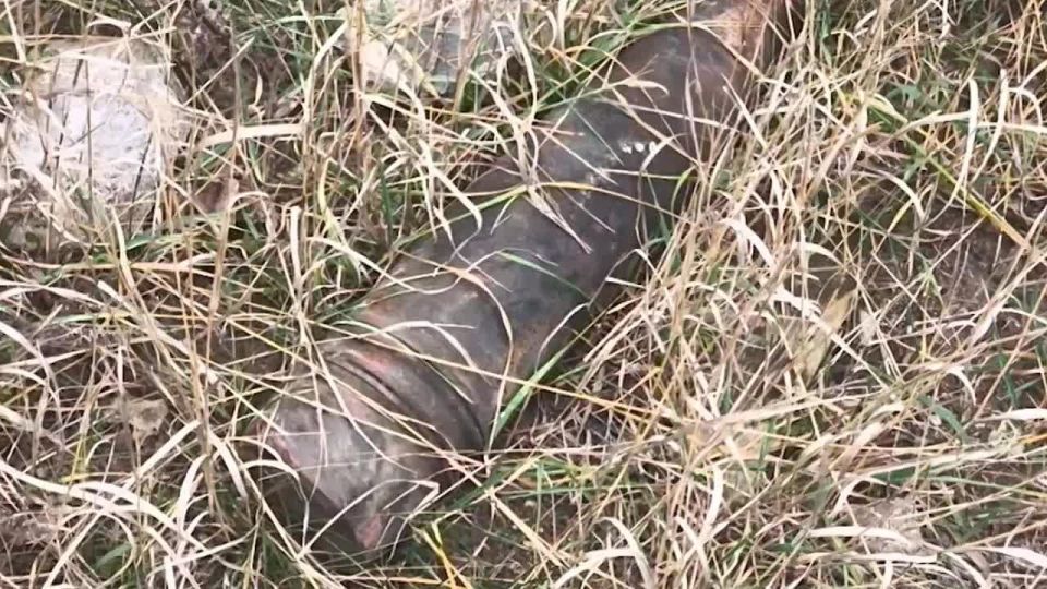 12345����������� ����� ������ �� ���������� ������������� � ���� ��� ���������� �������