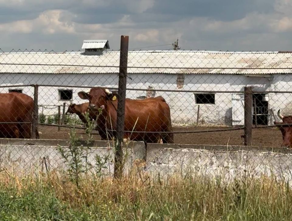 ������������ ������ � ��� � 2025 ���� ��������� �������� ���������� �� 13,5%