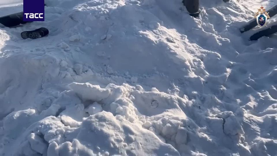 ������������ ������� ������� � ��������� �����������, ����� � ������� �������, �������� � ��� �� �� �� ������������� ���� � �������