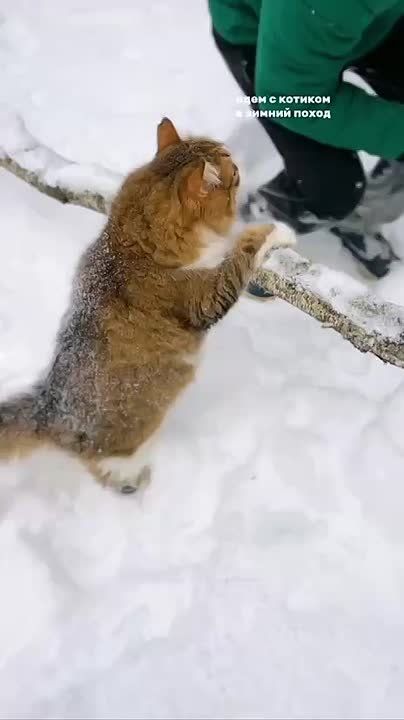 ���������� �� ������ ������ � �����-����������������! ������� �������� ����� ���: