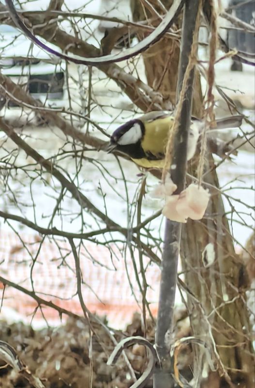 ������ �� ���������. �������� ������� ������������