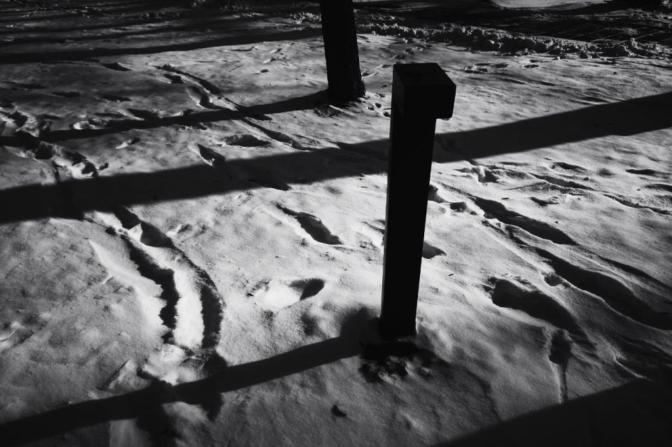 ����� ��������: ����. ����. ����