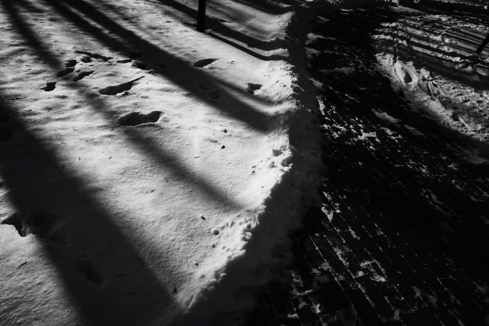 ����� ��������: ����. ����. ����