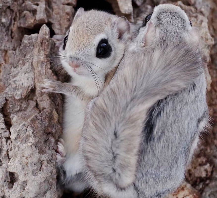 ������ ���: �������� ���������� ������ �������� ��������