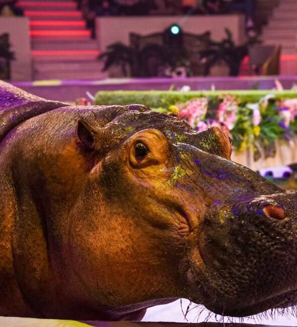 � �������� ����� ������� ���������� ����� ��� � �������� ����� 50 ��������