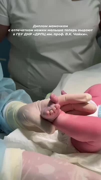 ��������� ���� �������� �������: � �������� ������������� ������ ���� ����� ������ ������ �������