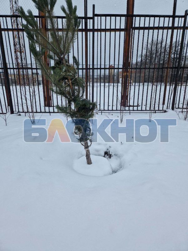 ������� ������� �����: ������� ��� ��������� ������ ���������� ������ ��� �� �������