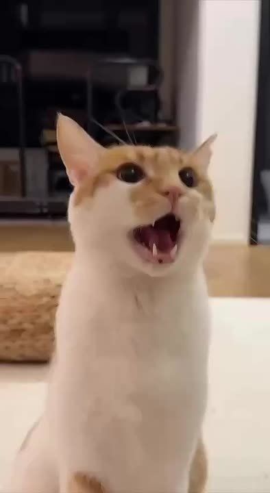 ������! �����, ��� ���� ������������ ������, �� �������� ��� ����! � ���, ����������, �� ������: