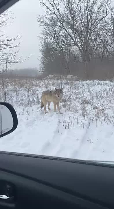 ������� ���� ����� � ����� � �������