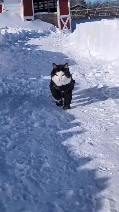 �� ����� ����� �������� ���� ���� � ����� ������