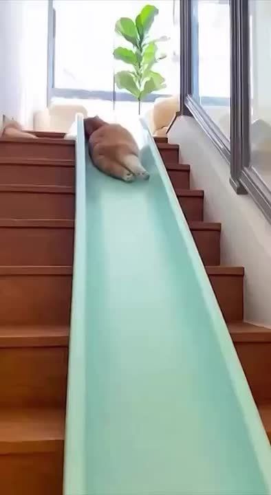 ����������� � ������� ������