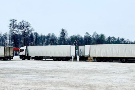 ������ � ������� ���������� ������ ��������: 1000 ������ 38