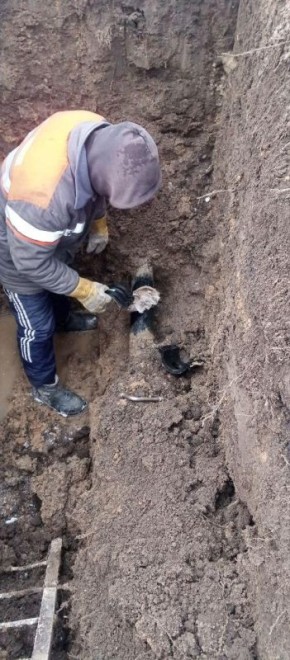 ������� ������� ����������� ������ ����������� � �������� ���� � �����������