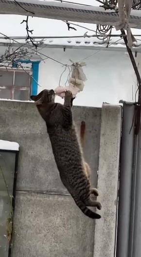 �����-�� �������� � ��� �������