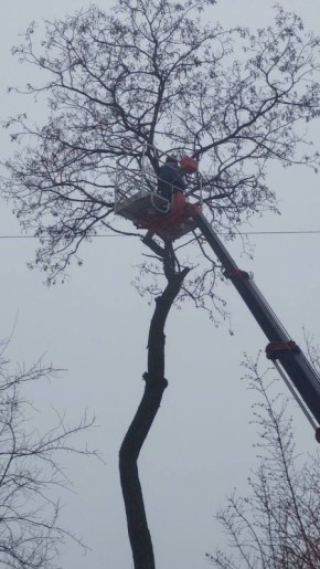 ��� �������� ��������� ��������� ��� ����������� ������ �� ���������� ��������� ����