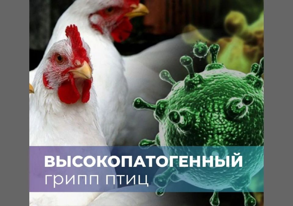 ���� ���������: ��������������� - ������ ������ � ����!