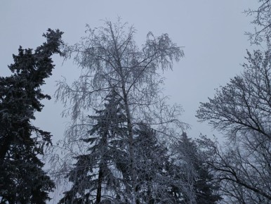 31 ������ � ���������� �������� ������, ������� ����� � ������ ������