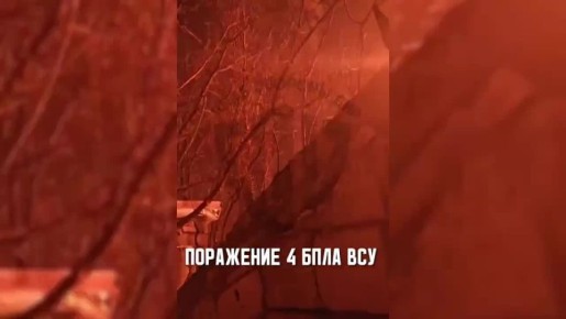 �� ������ ����������� 215 ��������� ����