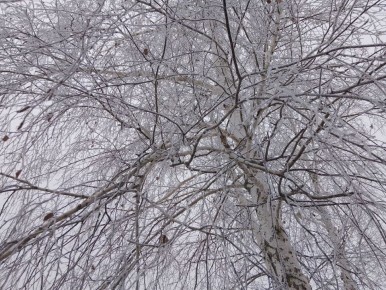 ����� �����: ������ ����, ������������� ������������� �����!