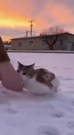 ��������! ������ ����� ��� �������� � ���������!