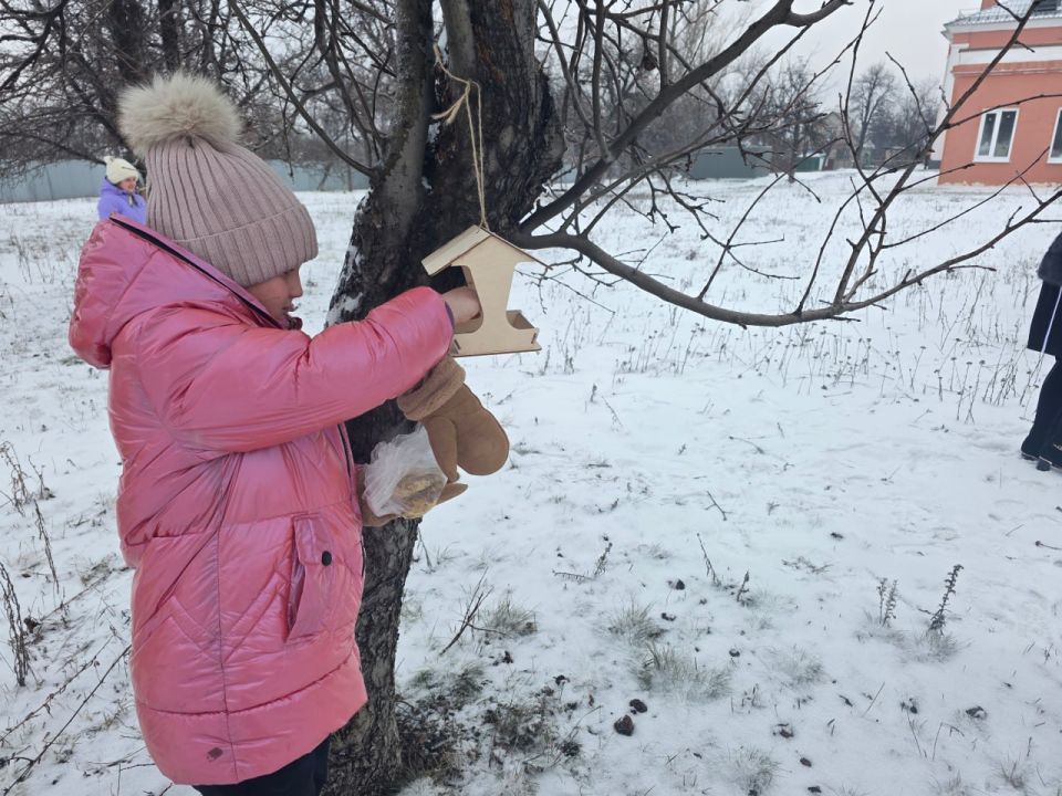 Акция «Покорми птиц зимой» Акция «Покорми птиц зимой»