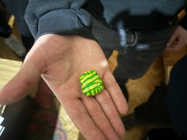 ����������� ������� ���� ����������� �������� ����������