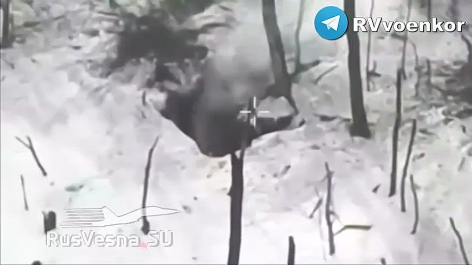 �������� ���������� ������, ����� � ������ ������� ����� ��� ���������� � � ���������������� �������